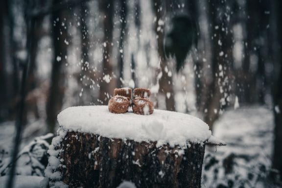 Zwei Tontöpfe auf einem Schnee bedeckten Baumstumpf im verschneiten Wald.